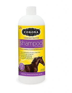 CORONA SHAMPOO CONCENTRATE QT