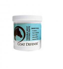 COAT DEFENSE 24OZ DRYING PASTE