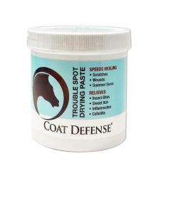 COAT DEFENSE 10OZ SPOT DRY PASTE