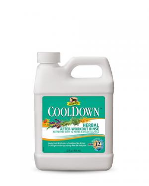 ABSORBINE COOLDOWN 32OZ