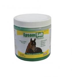 EPSOM SALT POULTICE 20 OZ