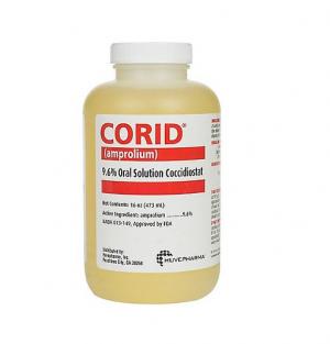 CORID 9.6% 16OZ