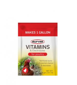 VITAMINS & ELECTROLYTE PACKET 5G