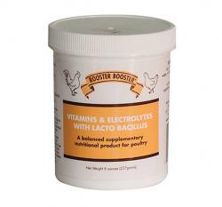 ROOSTER BOOSTER VITA/ELEC 8OZ