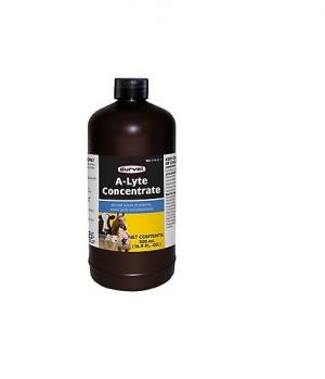 A-LYTE CONCENTRATE 500 ML