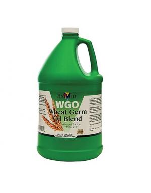 WHEAT GERM OIL PLUS GALLON