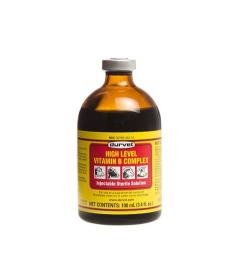 HIGH LEVEL VIT B COMPLEX 100ML