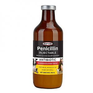 PENICILLIN 250 ML