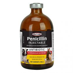 PENICILLIN 100 ML