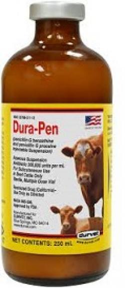 DURA-PEN 250ML