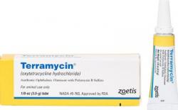 TERRAMYCIN OPHTHALMIC ONT