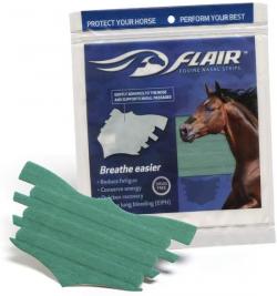 FLAIR EQUINE NASAL STRIP TURQUOI