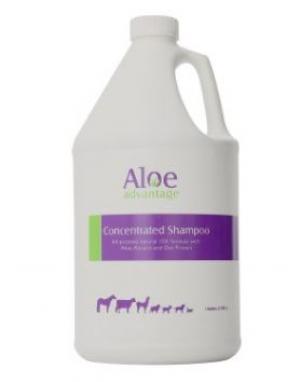 SHAMPOO WITH ALOE GAL CONC.